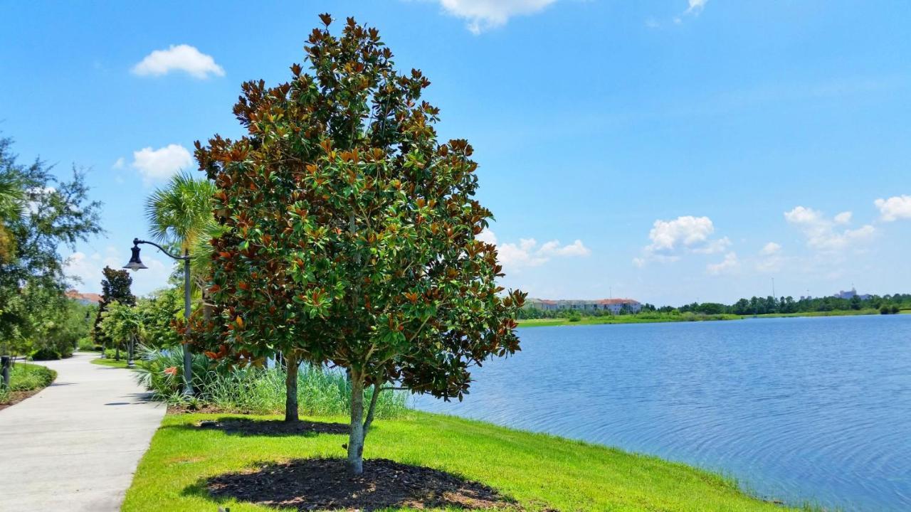 Luxury Vacation In This Gorgeous Vista Cay Condo Kissimmee Exteriér fotografie